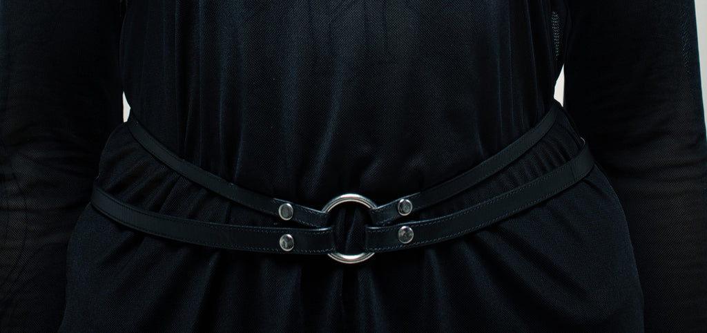 hips harness