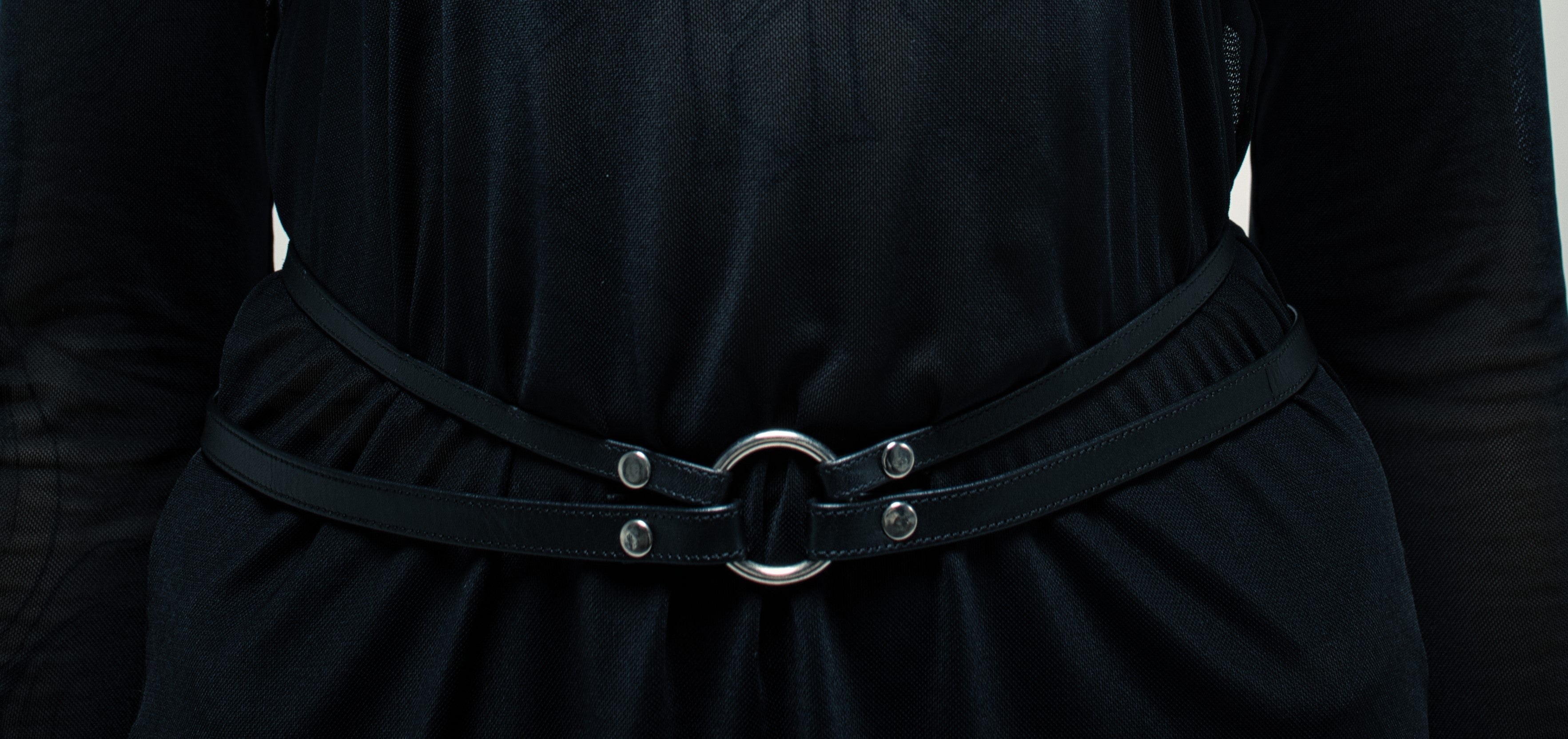 hips harness