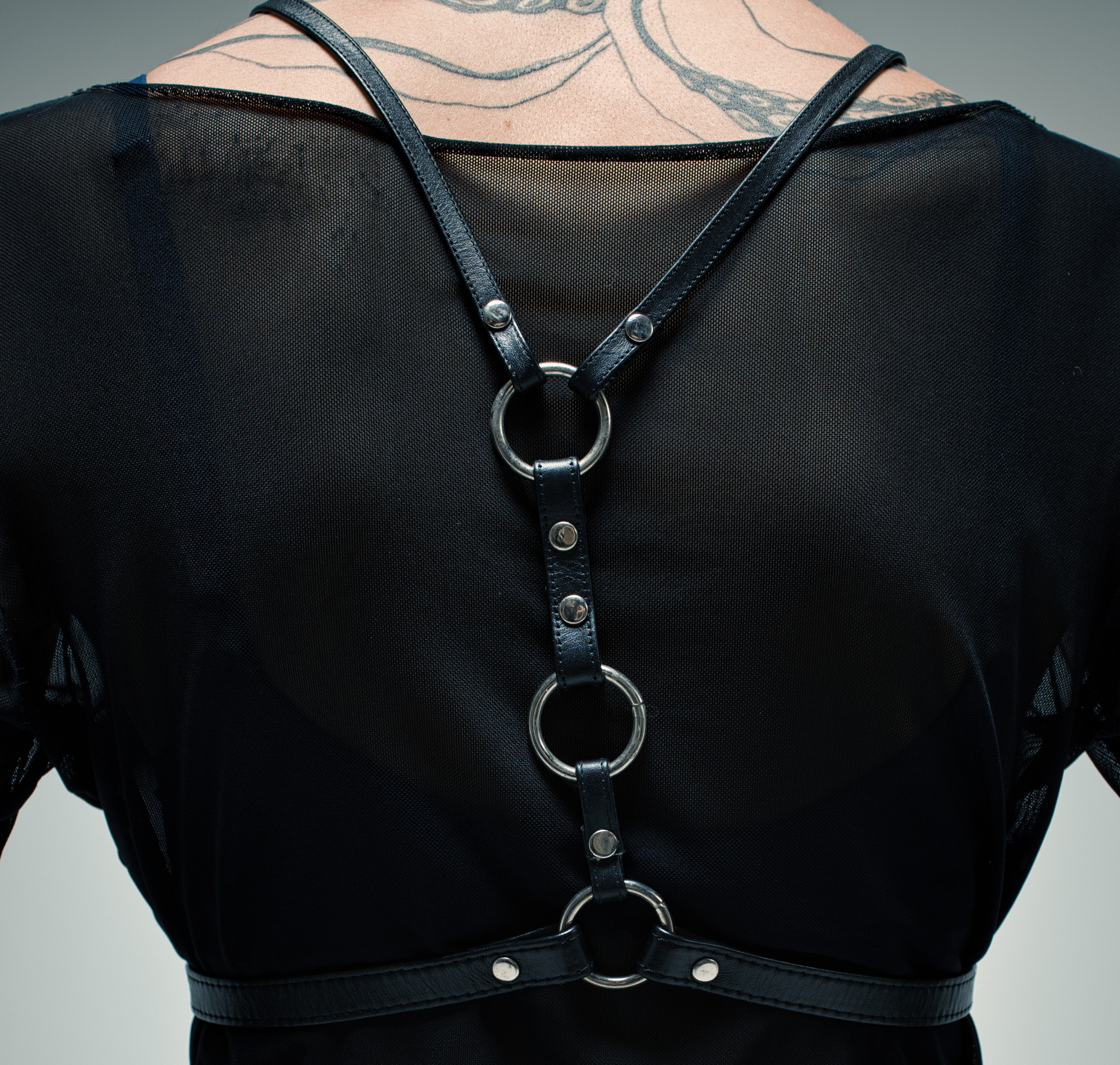leather harness