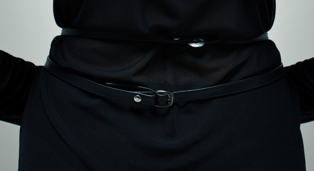 hips harness