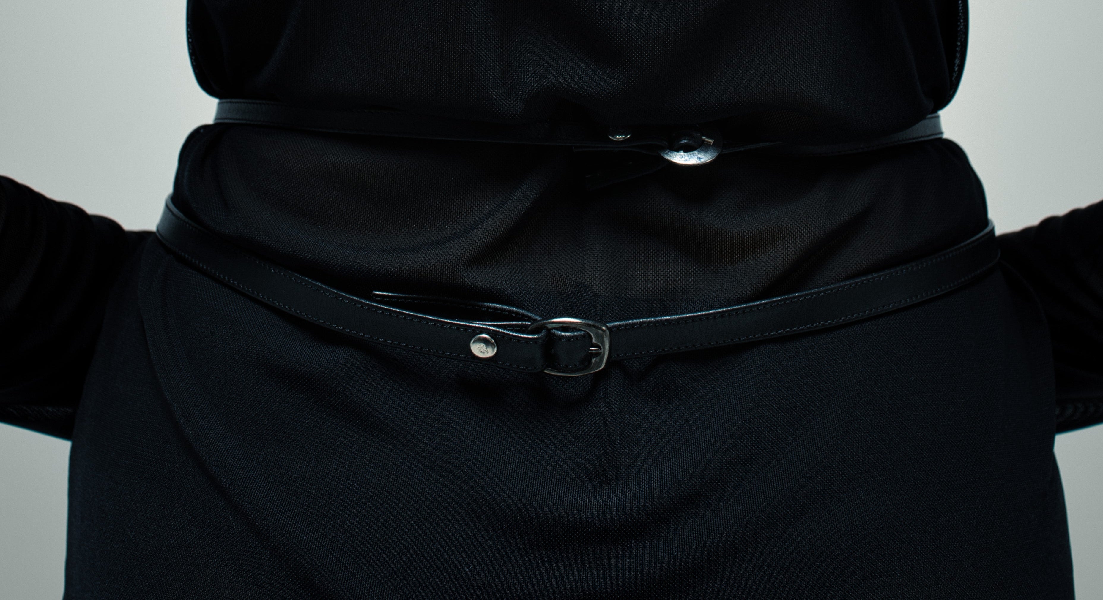 hips harness